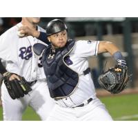 Somerset Patriots catcher Yovan Gonzalez