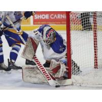 Goaltender Tanner Creel with the Roanoke Rail Yard Dawgs