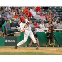 Josh Mazzola with the Winnipeg Goldeyes