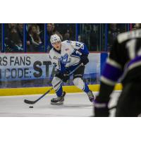 Forward Shane Pinto with the Lincoln Stars