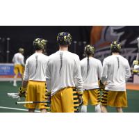 Georgia Swarm braid warmup shirts and helmets