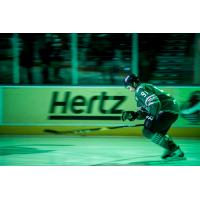 Forward Patrick Bajkov of the Florida Everblades