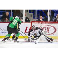 Vancouver Giants goaltender Trent Miner faces the Prince Albert Raiders