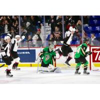 Vancouver Giants jump in celebration after a goal against the Prince Albert Raiders