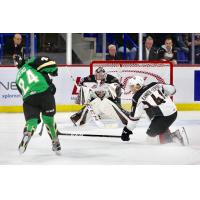 Vancouver Giants goaltender Trent Miner against the Prince Albert Raiders