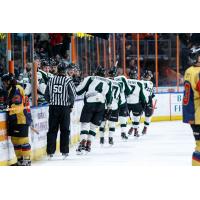 Utah Grizzlies exchange congratulations along the bench following a goal