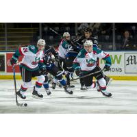 Kelowna Rockets center Kyle Topping (24) corrals the puck against the Victoria Royals