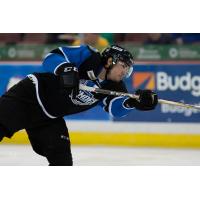 Defenseman Eric Roy with the Wichita Thunder