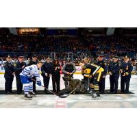 Hamilton Bulldogs and the Mississauga Steelheads