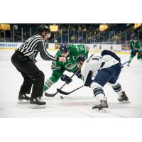 Florida Everblades forward John  McCarron's faces off with the Jacksonville IceMen