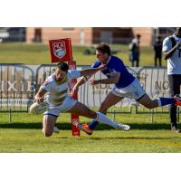 Toronto Arrows move in for a ball against the NOLA Gold