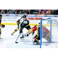 Utah Grizzlies forward Austin Carroll takes a shot against the Kansas City Mavericks