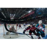 Bowen Byram of the Vancouver Giants behind the net against the Kelowna Rockets