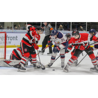 Saginaw Spirit vs. the Ottawa 67's