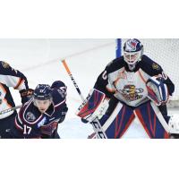 Greenville Swamp Rabbits goaltender Chris Nell against the South Carolina Stingrays