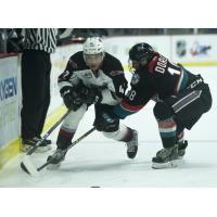 Vancouver Giants center Justin Sourdif works along the boards against the Kelowna Rockets