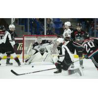 Vancouver Giants goaltender David Tendeck vs. the Kelowna Rockets