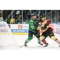 Florida Everblades forward Joe Cox (left) against the Atlanta Gladiators