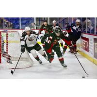 Vancouver Giants centre Milos Roman squeezes around the net in pursuit of a Prince George Cougar