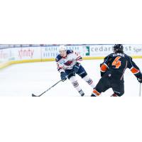 South Carolina Stingrays forward Sam Fioretti