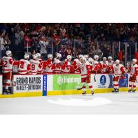 Grand Rapids Griffins exchange congratulations along the bench