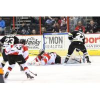 Zac Lynch of the Wheeling Nailers pressures the Cincinnati Cyclones goaltender