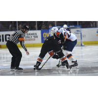 Greenville Swamp Rabbits vs. the Kansas City Mavericks