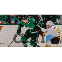 Texas Stars defenseman Ben Gleason fights off the Chicago Wolves