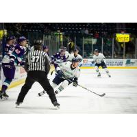 Florida Everblades forward Blake Winiecki vs. the Orlando Solar Bears