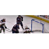 South Carolina Stingrays score against the Greenville Swamp Rabbits