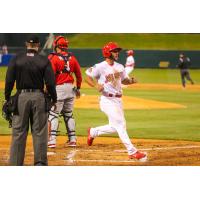 St. Louis Cardinals vs. the Memphis Redbirds at AutoZone Park