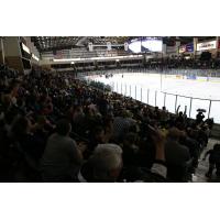 Fans watch the Tri-City Storm at the Viaero Center