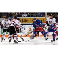 Kitchener Rangers defend against the Guelph Storm