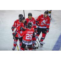 Niagara IceDogs celebrate a goal