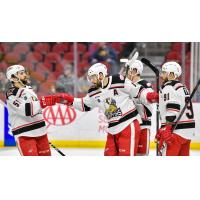 Grand Rapids Griffins celebrate a goal