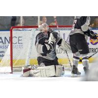 Vancouver Giants goaltender David Tendeck vs. the Seattle Thunderbirds