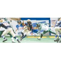 Green Bay Blizzard vs. the Quad City Steamwheelers