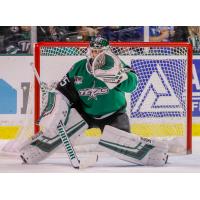 Texas Stars goaltender Landon Bow