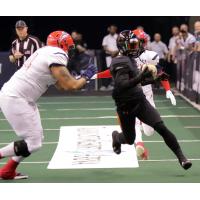 Arizona Rattlers vs. the Sioux Falls Storm