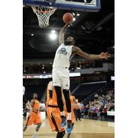 Halifax Hurricanes shooting guard Terry Thomas goes up for a dunk