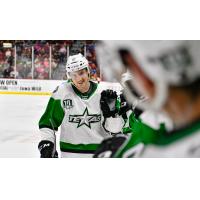 Texas Stars exchange congratulations along the bench