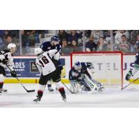 Vancouver Giants right wing Davis Koch takes a shot vs. the Seattle Thunderbirds