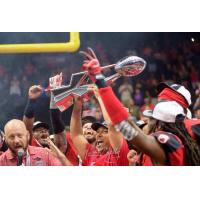 Jacksonville Sharks celebrate a title