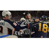 Greenville Swamp Rabbits battle the Norfolk Admirals