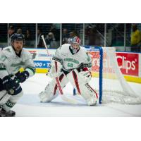 Florida Everblades goaltender Jeremy Helvig