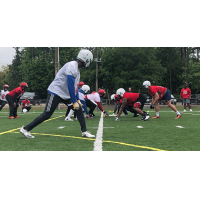 Jacksonville Sharks training camp