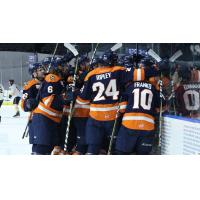 Greenville Swamp Rabbits celebrate a goal