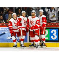 Grand Rapids Griffins in Action