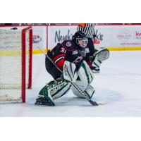 Birmingham Bulls goaltender Sebastian Andersson