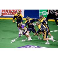 Georgia Swarm surround a San Diego Seals player